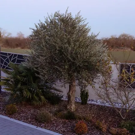 Im Luxurioesen Anwesen Mit Panoramablick * Stutensee